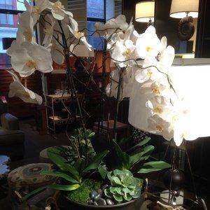 Meet your Posher, Hanna